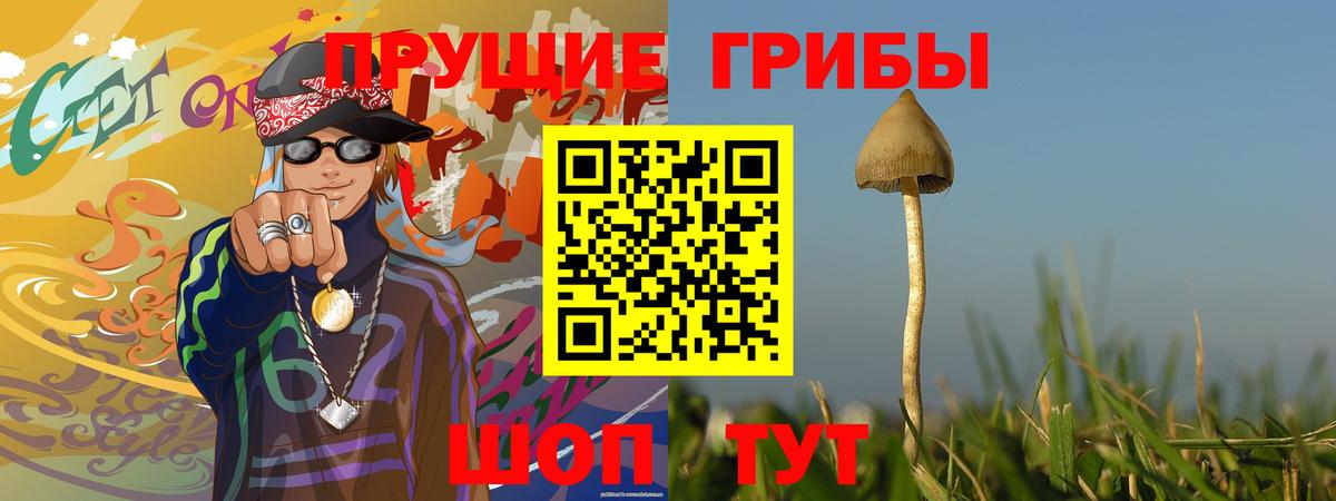 Галлюциногенные грибы MAGIC MUSHROOMS  Галлюциногенные грибы Magic Shrooms  Вход с VPN  наркотики  Усолье-Сибирское 